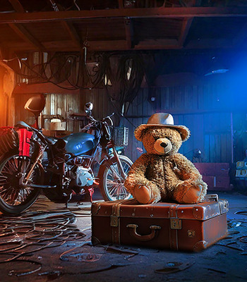 S&eacute;rie "M&eacute;saventures de Fred l'Ourson "