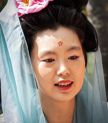 &Eacute;v&egrave;nements-Hanami-la f&ecirc;te des cerisiers